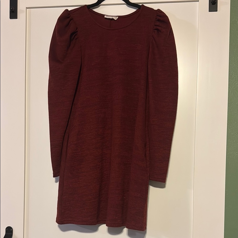 Stylish Burgundy Knit Dress